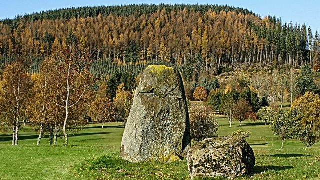 SOStone circle, Crieff golf courseNY DSC Stone circle, Crieff golf copurse