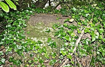 Witches Stone
